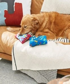 Frisco Zoomies & Chill Candy Plush Squeaky Dog Toy, 2 count -PetNest Shop 241687 PT6. SY630 V1610768450