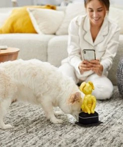 Frisco Zoomies & Chill Award Plush Squeaky Dog Toy -PetNest Shop 241705 PT6. SY630 V1610768309