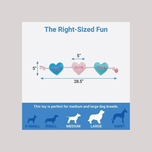 Frisco Candy Hearts Plush with Rope Squeaky Dog Toy 4 Frisco Candy Hearts Plush with Rope Squeaky Dog Toy - Image 2