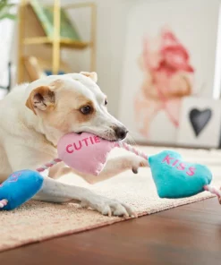 Frisco Candy Hearts Plush with Rope Squeaky Dog Toy 7 Frisco Candy Hearts Plush with Rope Squeaky Dog Toy -PetNest Shop 241725 PT6. SY630 V1607989337