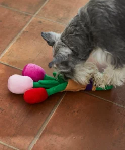 Frisco Rose Bouquet Plush Squeaky Dog Toy 7 Frisco Rose Bouquet Plush Squeaky Dog Toy -PetNest Shop 241733 PT6. SY630 V1607990908