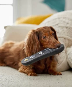 Frisco Zoomies & Chill Remote Latex Squeaky Dog Toy -PetNest Shop 241753 PT6. SY630 V1610768496