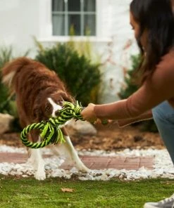 Frisco Dual Handle Neon Rope Squeaky Dog Toy, Yellow & Gray -PetNest Shop 242129 PT2. SY630 V1605208706
