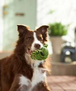 Frisco Dual Handle Neon Ball Squeaky Dog Toy, Yellow & Gray -PetNest Shop 242131 PT2. SY630 V1605208693