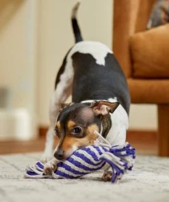 Frisco Flat Rope Squeaky Dog Toy, Purple & Gray -PetNest Shop 242133 PT2. SY630 V1605208701