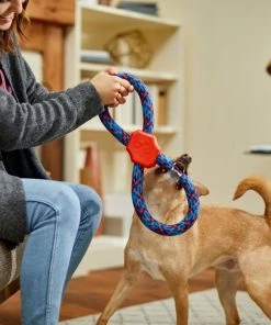 Frisco Figure 8 Rope Dog Toy, Blue & Red -PetNest Shop 242135 PT2. SY630 V1605208635