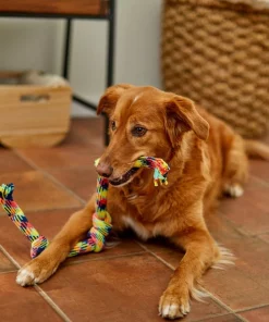 Frisco 4-Knot Tri-Color Rope Dog Toy -PetNest Shop 242139 PT2. SY630 V1605208764