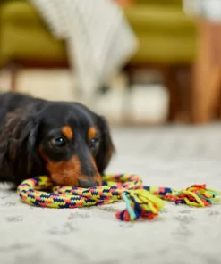 Frisco Pretzel Rope Dog Toy -PetNest Shop 242141 PT2. SY630 V1605208795