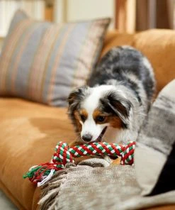 Frisco Double Knot Tri-Color Rope Dog Toy -PetNest Shop 242149 PT2. SY630 V1605208647