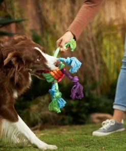 Frisco Colorful Ball Knot Rope Dog Toy -PetNest Shop 242160 PT2. SY630 V1605208734