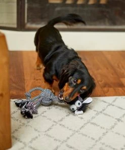 Frisco Zebra Rope Squeaky Dog Toy -PetNest Shop 242163 PT2. SY630 V1609336949