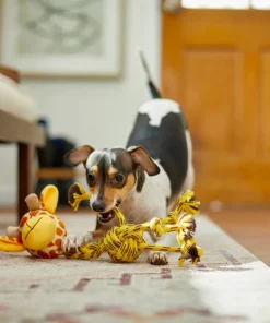 Frisco Giraffe Rope Squeaky Dog Toy 7 Frisco Giraffe Rope Squeaky Dog Toy -PetNest Shop 242165 PT2. SY630 V1609336966