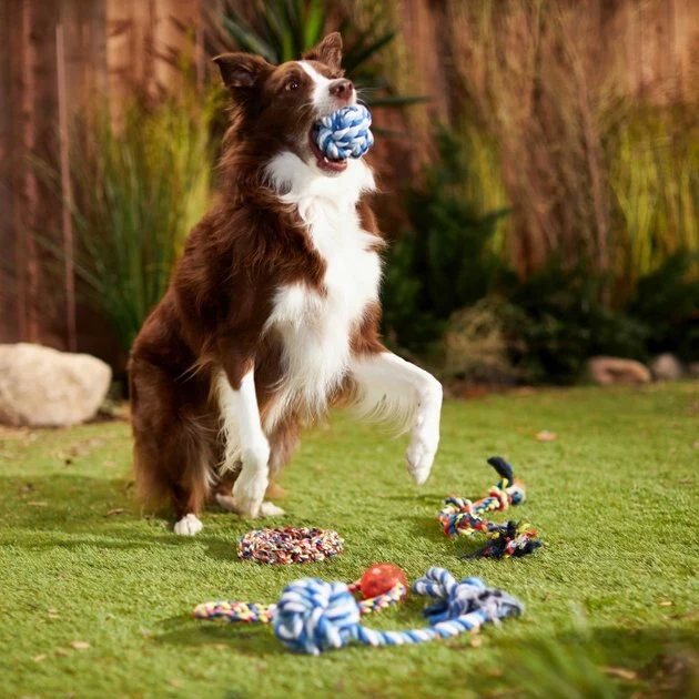 Frisco Rope Multipack for Medium Dog Toys, 5 count 5 Frisco Rope Multipack for Medium Dog Toys, 5 count - Image 3