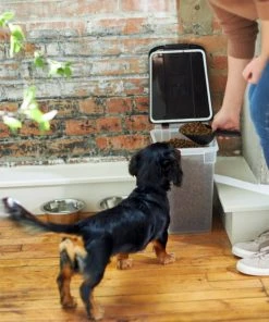 Frisco Airtight Food Storage Container, Clear/Black -PetNest Shop 245804 PT8. SY630 V1608850956