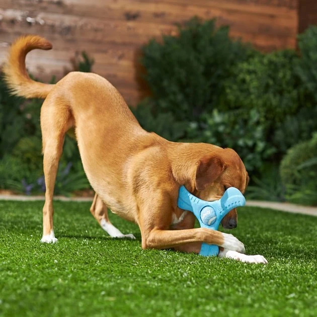 Frisco Plastic Tri-Flyer Dog Toy 5 Frisco Plastic Tri-Flyer Dog Toy - Image 3