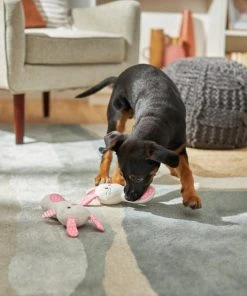 Frisco Bunny Plush Multipack Puppy Toy, 2 count -PetNest Shop 245916 PT2. SY630 V1607371940