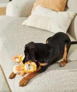 Frisco Lion Plush Multipack Puppy Toy, 2 count -PetNest Shop 245918 PT2. SY630 V1607372049