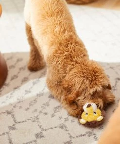 Frisco Lion Plush Squeaky Dog Toy -PetNest Shop 245926 PT2. SY630 V1607372008