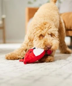 Frisco Fox Disc Plush Squeaky Dog Toy -PetNest Shop 245928 PT2. SY630 V1607371965