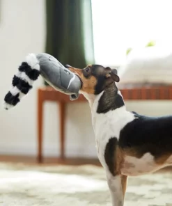 Frisco Raccoon Disc Plush Squeaky Dog Toy -PetNest Shop 245930 PT2. SY630 V1607372013