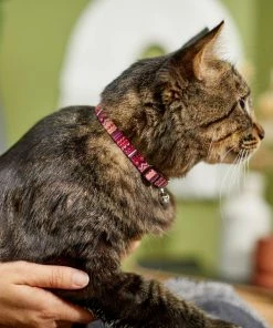 Frisco Red Boho Cat Collar -PetNest Shop 247054 PT4. SY630 V1606870053