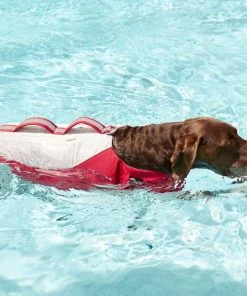 Frisco Rugged Dog Life Jacket 19 Frisco Rugged Dog Life Jacket -PetNest Shop 247878 PT8. SY630 V1616505716