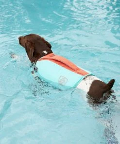 Frisco Active Dog Life Jacket -PetNest Shop 247890 PT8. SY630 V1616505897