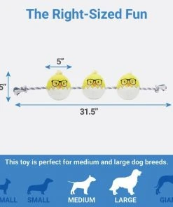 Frisco Easter Hipster Chicks Plush with Rope Dog Toy -PetNest Shop 248031 PT1. SY630 V1612633351