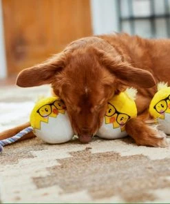 Frisco Easter Hipster Chicks Plush with Rope Dog Toy -PetNest Shop 248031 PT5. SY630 V1608767875