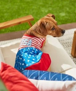 Frisco USA Dog & Cat Dress -PetNest Shop 248659 PT4. SY630 V1632418898