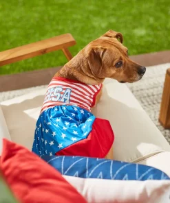 Frisco USA Dog & Cat Dress -PetNest Shop 248659 PT7. SY630 V1614029540