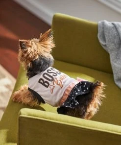 Frisco Boss Babe Dog & Cat Dress -PetNest Shop 248673 PT7. SY630 V1613586417
