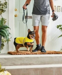 Frisco Reflective Dog Safety Vest -PetNest Shop 248680 PT7. SY630 V1614029598