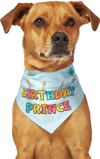 Frisco Birthday Prince Dog & Cat Bandana 6 Frisco Birthday Prince Dog & Cat Bandana - Image 4