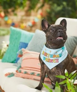 Frisco Birthday Prince Dog & Cat Bandana 11 Frisco Birthday Prince Dog & Cat Bandana -PetNest Shop 248694 PT7. SY630 V1614031677
