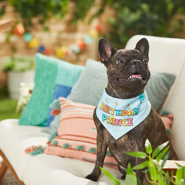 Frisco Birthday Prince Dog & Cat Bandana 7 Frisco Birthday Prince Dog & Cat Bandana - Image 5