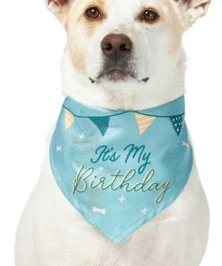 Frisco It's My Birthday Dog & Cat Bandana, Blue -PetNest Shop 248696 PT2. SY630 V1633069886