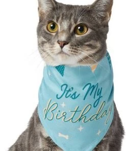 Frisco It's My Birthday Dog & Cat Bandana, Blue -PetNest Shop 248696 PT3. SY630 V1633061530