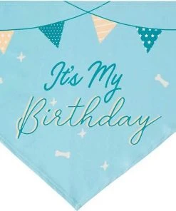 Frisco It's My Birthday Dog & Cat Bandana, Blue -PetNest Shop 248696 PT4. SY630 V1633057291