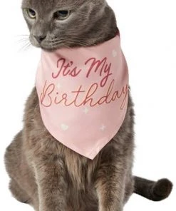 Frisco It's My Birthday Dog & Cat Bandana, Pink -PetNest Shop 248702 PT2. SY630 V1614611844