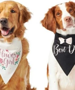 Frisco Wedding Reversible Dog & Cat Bandana -PetNest Shop 248712 PT2. SY630 V1632429387