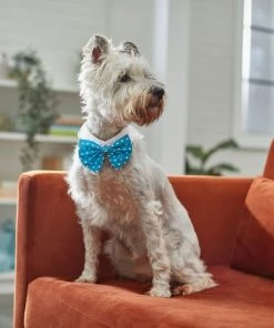 Frisco Polka Dot Dog & Cat Bow Tie, Teal -PetNest Shop 248715 PT7. SY630 V1614031654