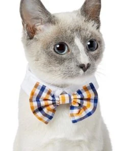 Frisco Plaid Dog & Cat Bow Tie, Orange & Blue -PetNest Shop 248723 PT2. SY630 V1613767680