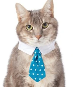 Frisco Polka Dot Dog & Cat Neck Tie -PetNest Shop 248729 PT2. SY630 V1614368548