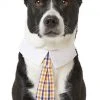 Frisco Plaid Dog & Cat Neck Tie, Orange & Blue -PetNest Shop 248737 MAIN. SY630 V1614365517