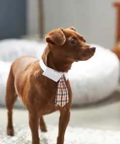 Frisco Plaid Dog & Cat Neck Tie, Orange & Blue -PetNest Shop 248737 PT7. SY630 V1614366222