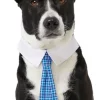 Frisco Plaid Dog & Cat Neck Tie, Blue Plaid