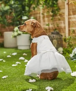 Frisco Formal Dog Wedding Dress -PetNest Shop 248743 PT7. SY630 V1614118361