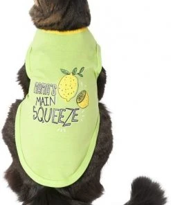 Frisco Mama's Main Squeeze Dog & Cat T-Shirt -PetNest Shop 248852 PT2. SY630 V1644959830