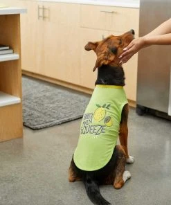 Frisco Mama's Main Squeeze Dog & Cat T-Shirt -PetNest Shop 248852 PT5. SY630 V1644960403